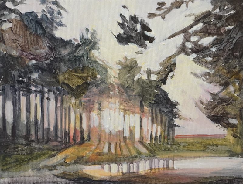 Sol og skov